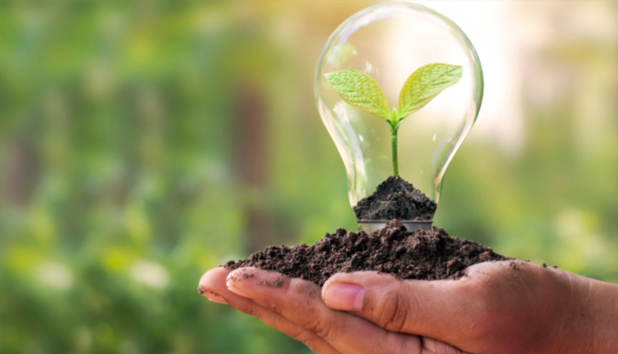 BEYAQI Recyclable Plastic Roll-On Bottles: A Sustainable Choice